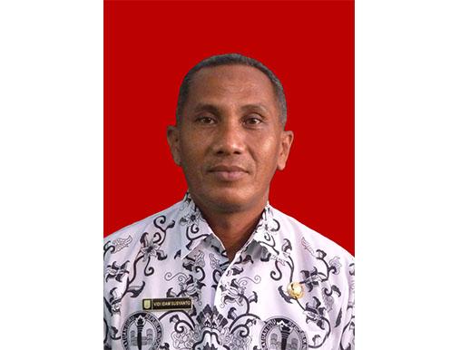 Drs. Vidi Idam Susyanto
